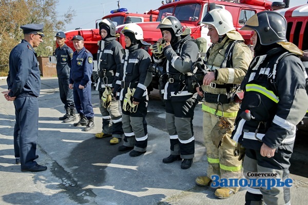 С Нового Года Прошло Дней С Нового Года Прошло Дней